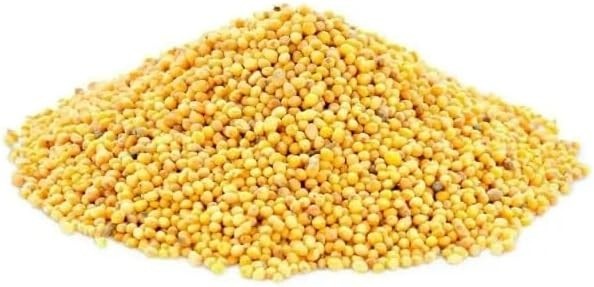 Mostarda - Granel 100g (14, Mostarda em Grão Canadense Amarela)
