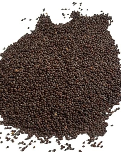 Semente de Mostarda Marrom 1Kg