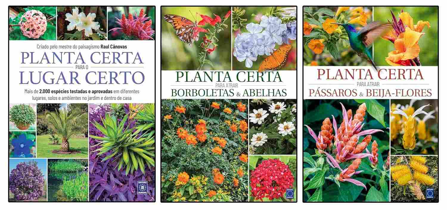 3-kit-essencial-lugar-para-super-livros-certa-incriveis-para-certo-o-guia-jardins-planta-a