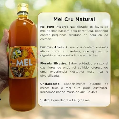 Mel de Abelhas Cru - Natural Sul de Minas Florada Silvestre 3L - 4,2Kg