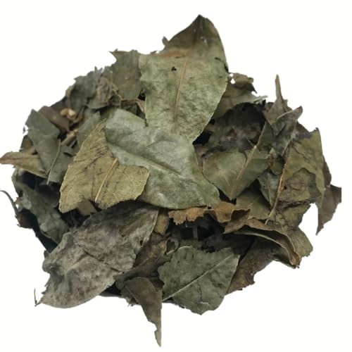 Guaçatonga 500Gr (Ervas e Talos)