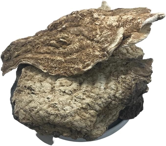 Jalapa 500Gr