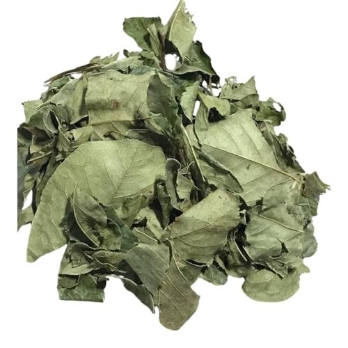Mangaba Folha 500Gr (Ervas e Talos)