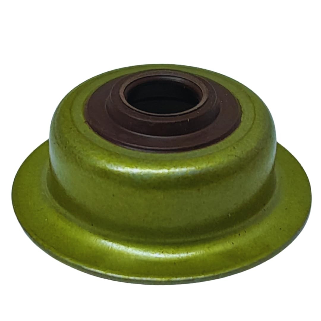 Retentor de Válvula Premium para Motores Gasolina 5.5HP e 6.5HP (25x41x6)