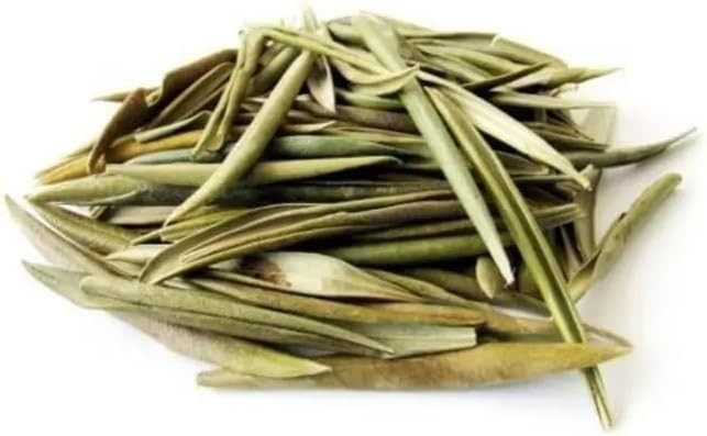 Folha de Oliveira - Granel 100g (8)