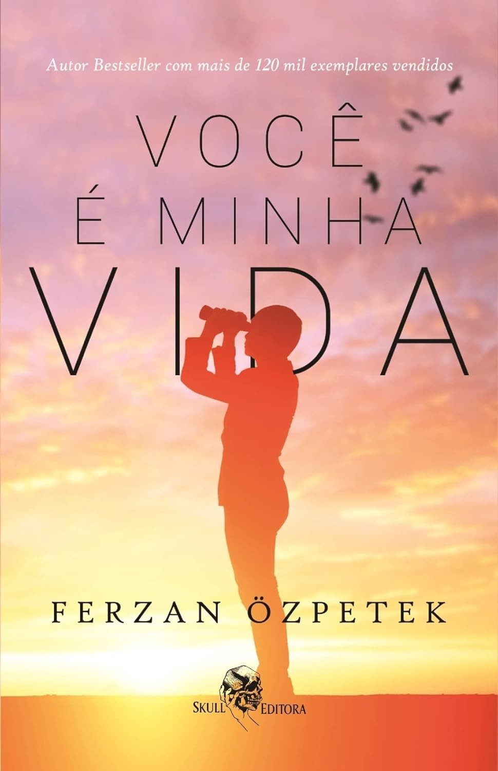 Você é Minha Vida: Uma Jornada Emocionante Pela Memória e Amor
