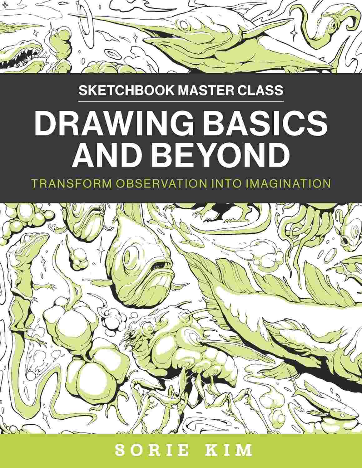 a-basics-and-observacao-beyond-em-imaginacao-drawing-sua-criativa-transforme-a