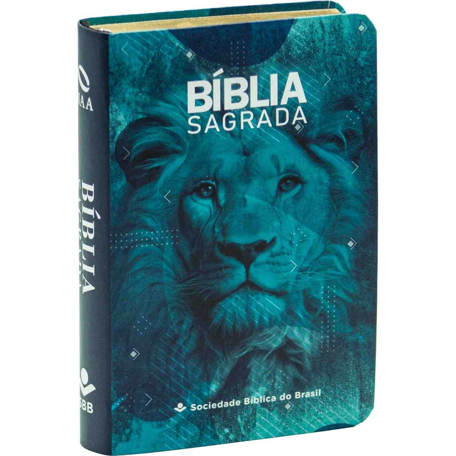 a-bolso-levar-almeida-palavra-com-de-sagrada-edicao-atualizada-a-sempre-biblia-voce-naa-nova-para-a