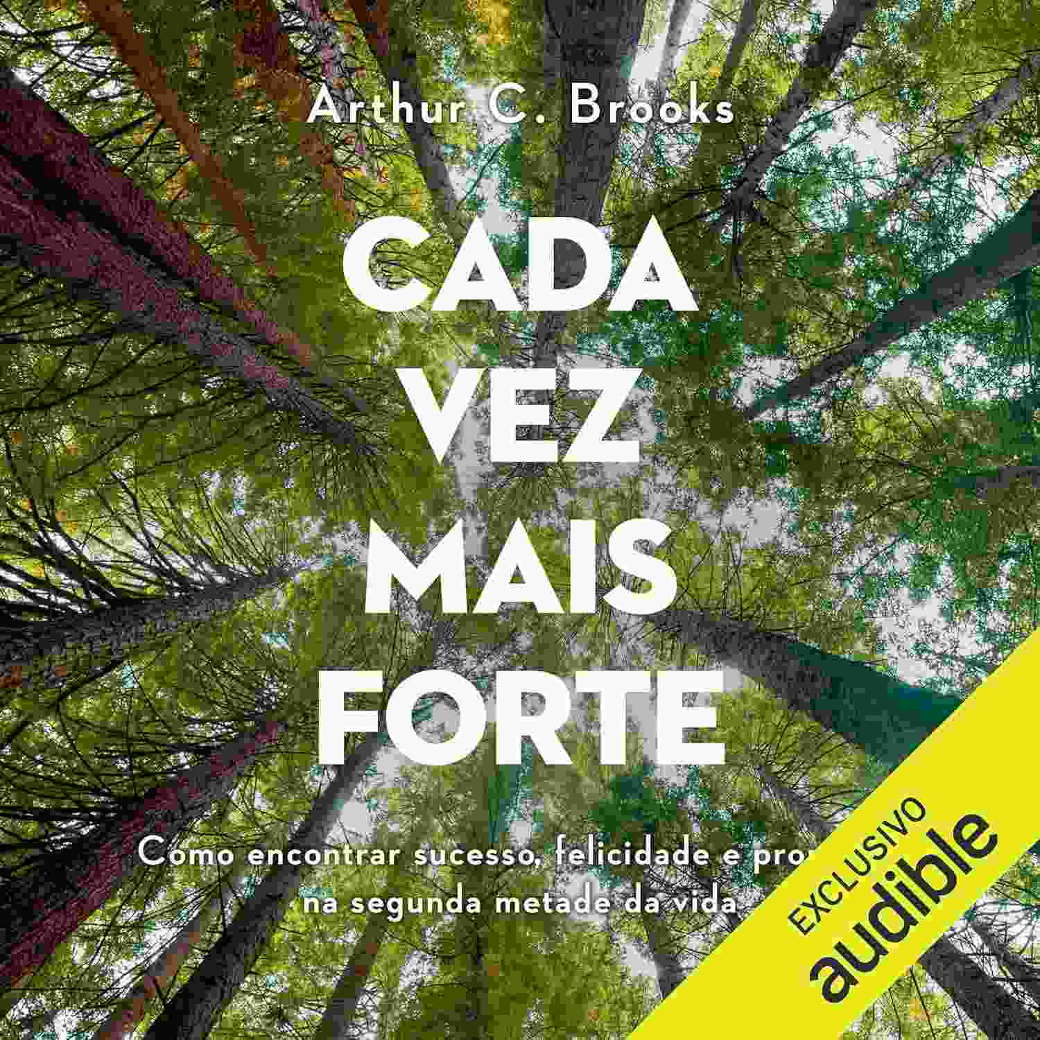 a-e-na-o-sucesso-forte-proposito-vida-mais-redescubra-vez-cada-felicidade-da-metade-segunda-a