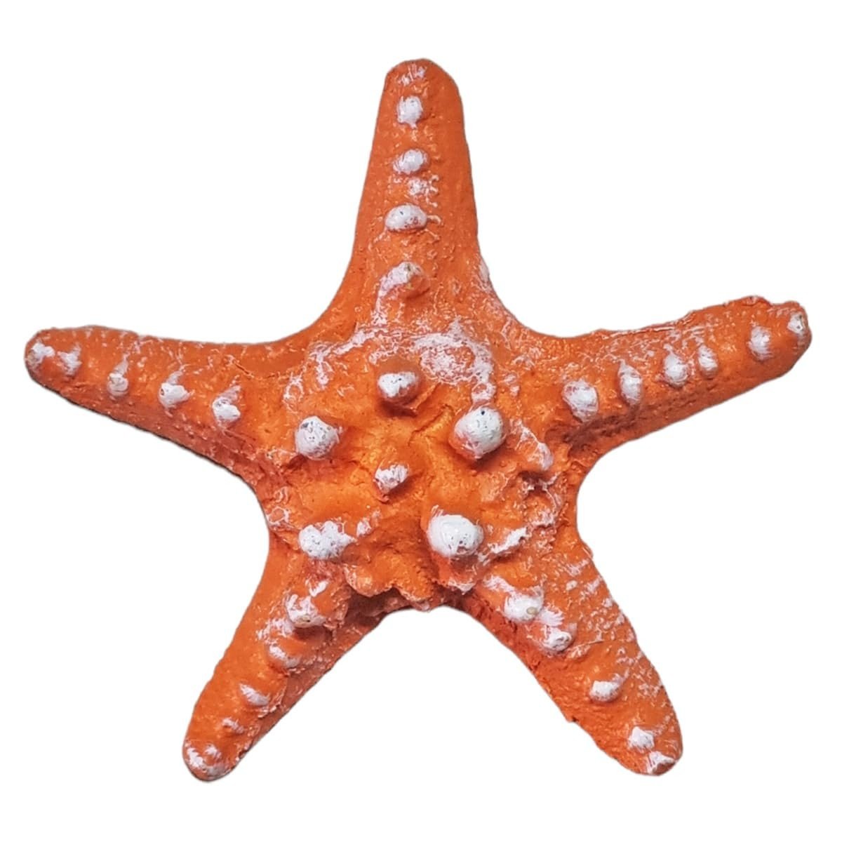 Estrela do Mar em Resina para Decoração de Parede - Laranja | Ideal para Pousadas, Praias e Ambientes Náuticos