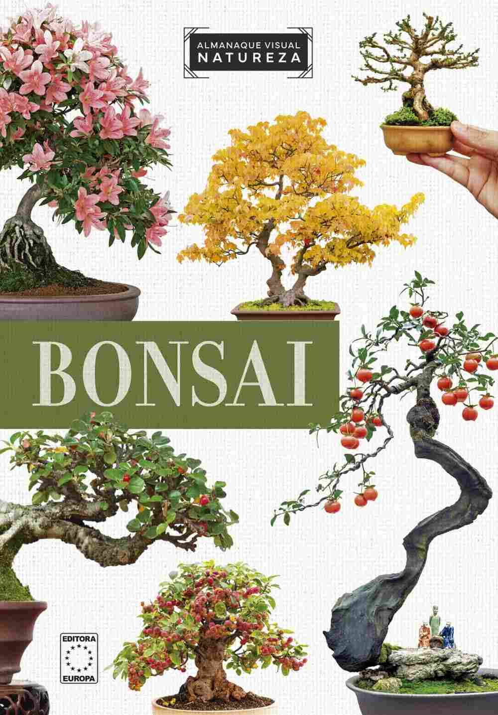 a-natureza-da-bonsai-visual-guia-completo-arte-o-almanaque-a