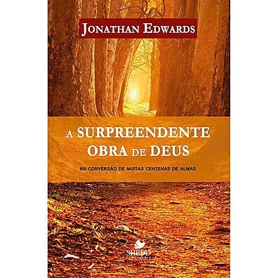 A Obra de Deus: Descubra o Poder Transformador