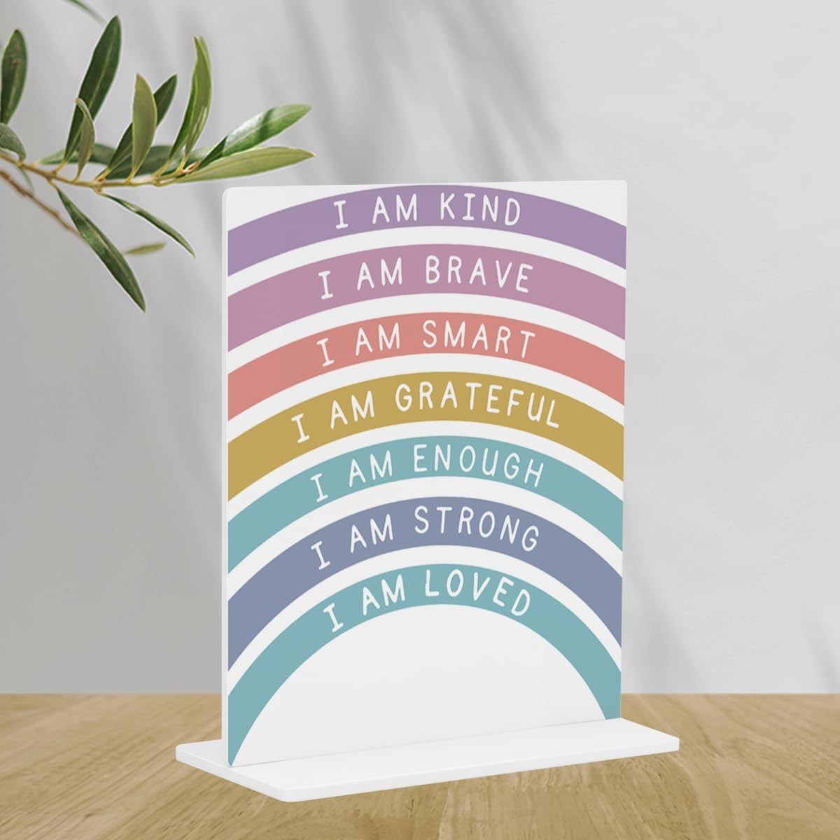 Decoração Motivacional para Sala de Aula de Matemática - Acrílico 10x12cm - Presente Ideal para Professores