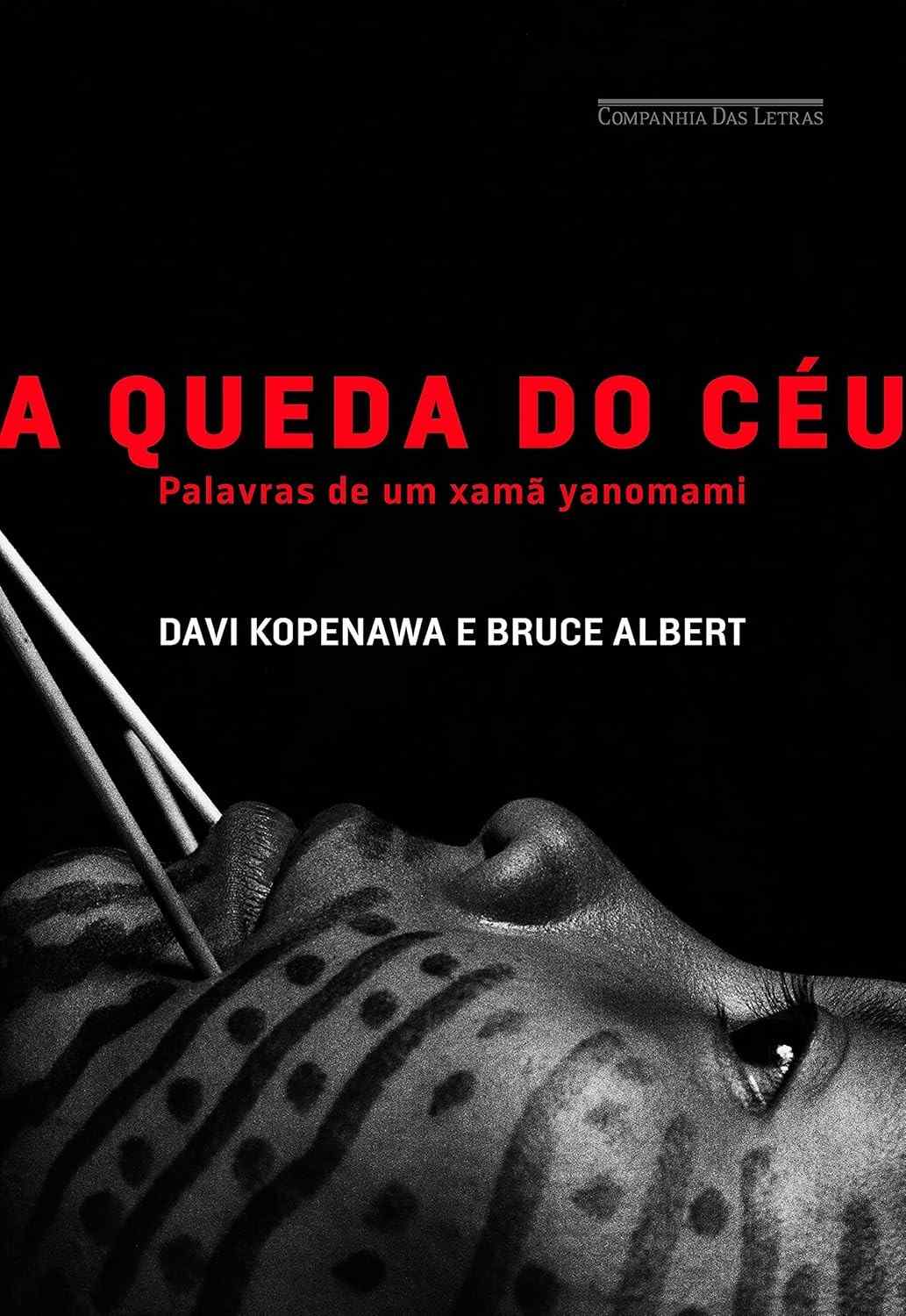 a-queda-de-e-do-sobre-yanomami-destruicao-ceu-o-floresta-a-a-a-relato-um-xama-a