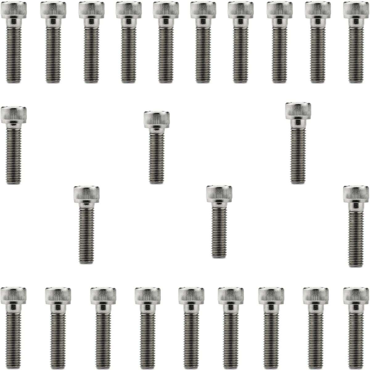 Kit Parafusos Inox Tampa Motor CB250F Twister 2016+ (Esquerda/Direita) - Qualidade Premium