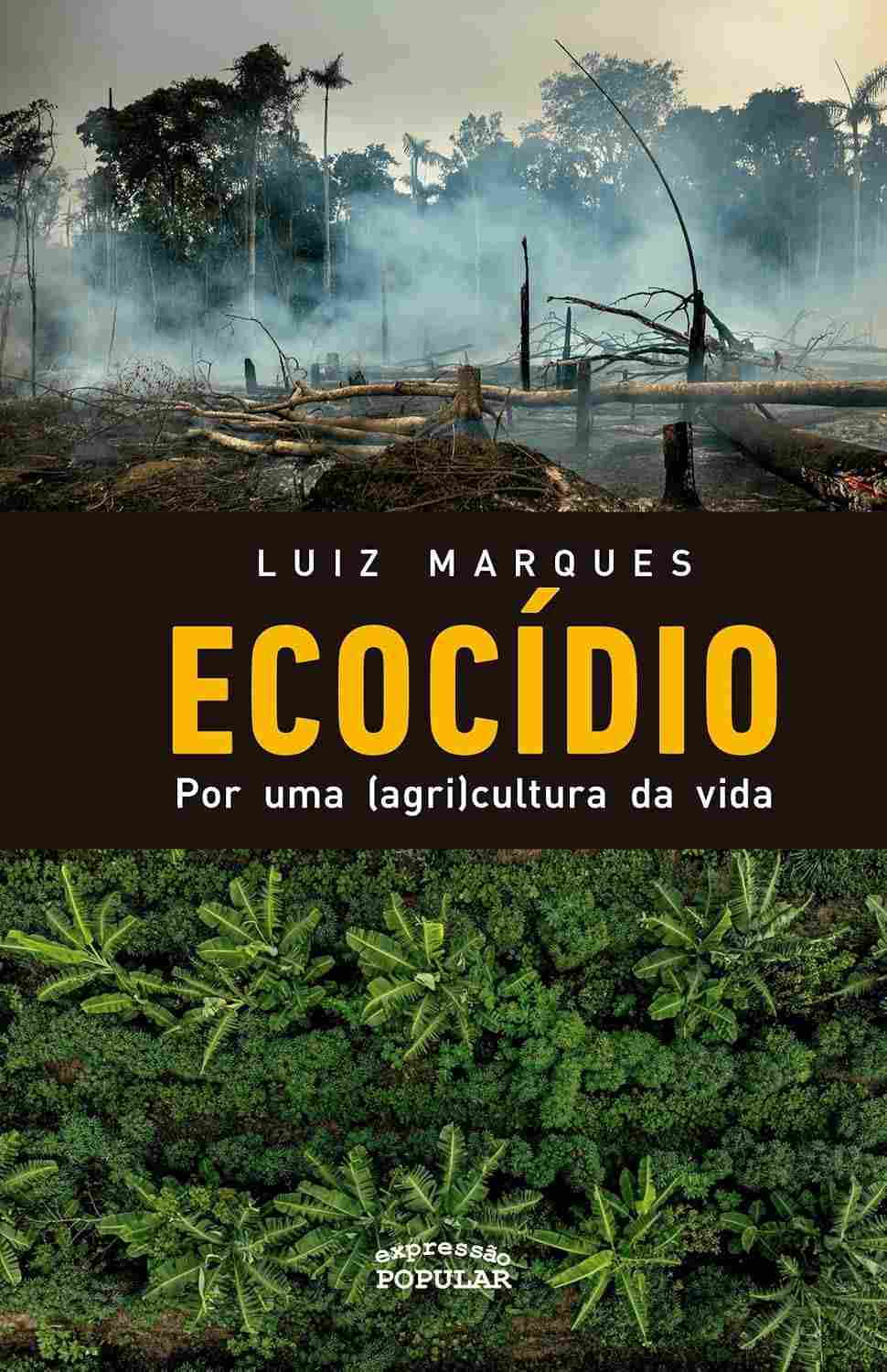 agricultura-a-ecocidio-caminho-ao-critica-sustentavel-o-e-para-uma-agronegocio-a
