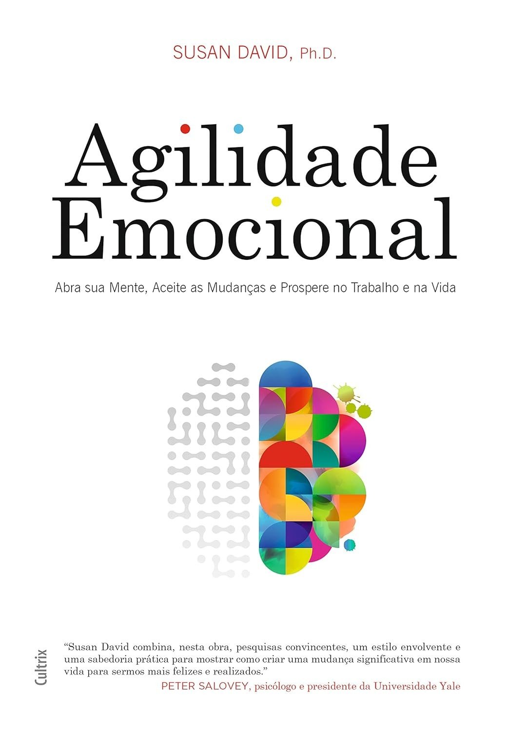 alcance-o-sucesso-profissional-emocional-agilidade-mudancas-domine-pessoal-e-a-e-a