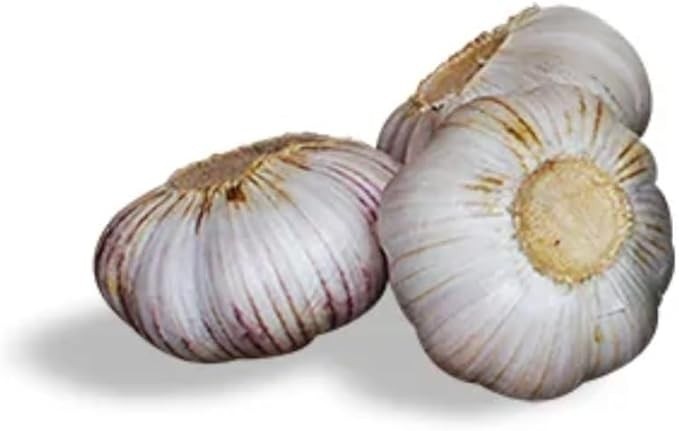 Alho Chines - Granel 100g (5)