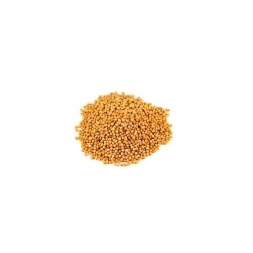 Mostarda - Granel 100g (9, Mostarda em Grão Indiana Amarela)
