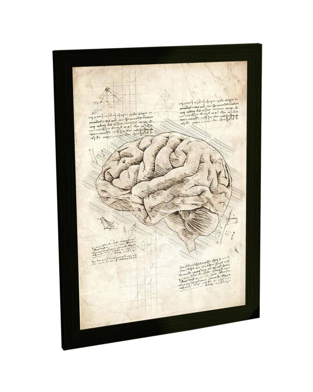 Quadro Decorativo A4 Cérebro Anatomia Projeto Retro Da Vinci - Arte Científica para Decoração