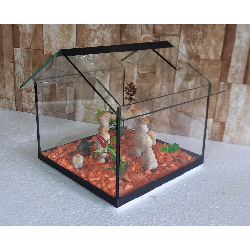 Aquário Beteira Casarão Decorado para Betta