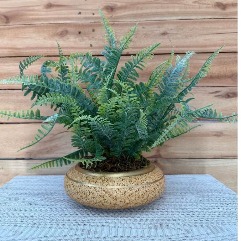 Arranjo Samambaias Com Vaso Cerâmica – Decore Sua Casa Agora