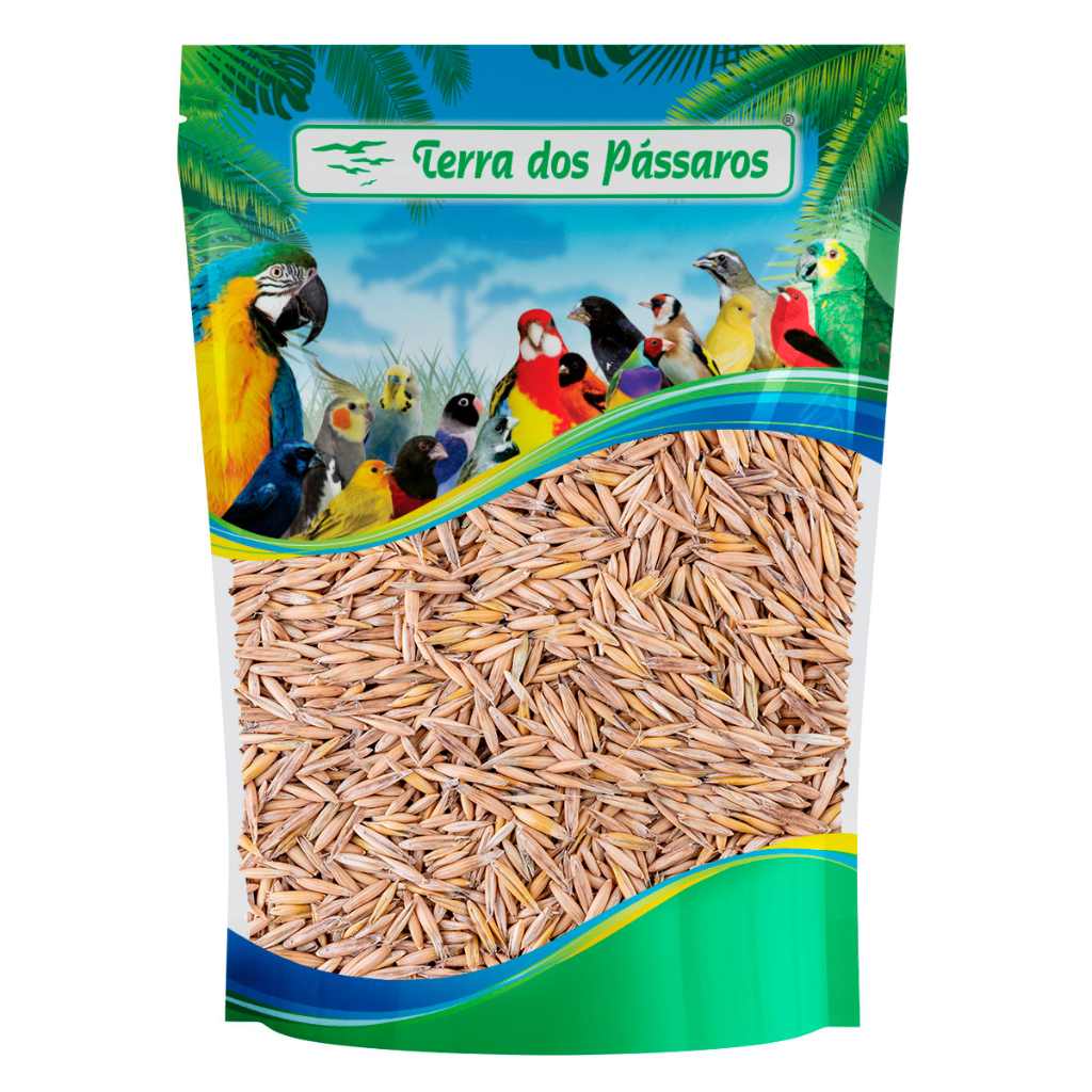 Aveia com Casca: Nutrição Pura para Aves 🐦