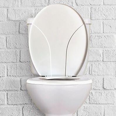 Assento Sanitário Oval Confortável – Higiene e Estilo no Banheiro
