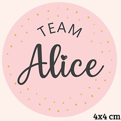 Adesivos Personalizados para Chá Revelação: Rosa e Verde com Nome do Bebê
