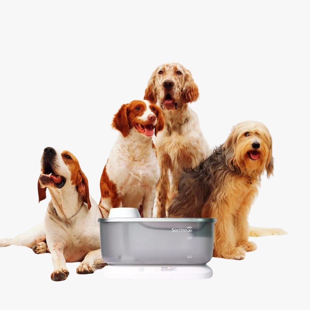 Bebedouro Inteligente Pet: Água Fresca 7L