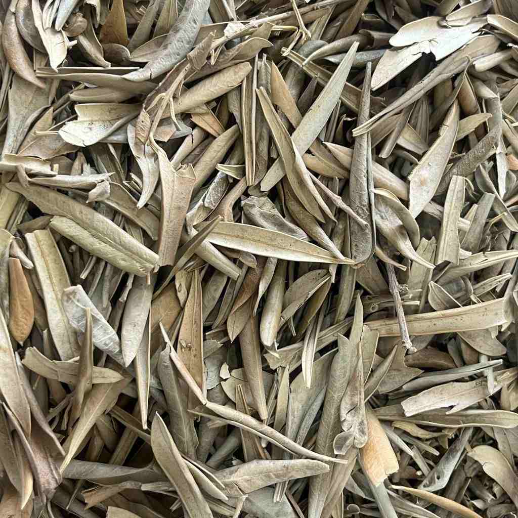 Chá de Folha de Oliveira: 500g de Saúde e Bem-Estar