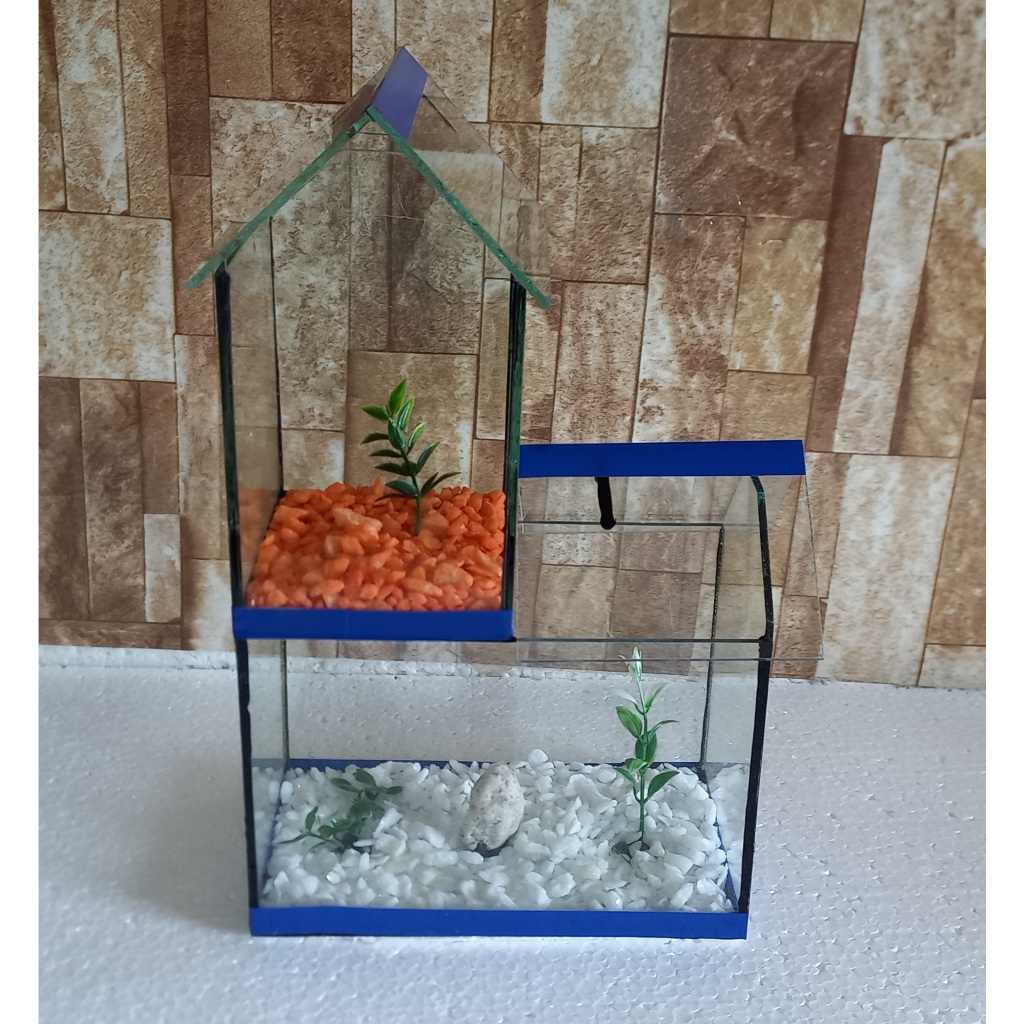 Beteira Castelo II Maior: Ideal para 2 Bettas