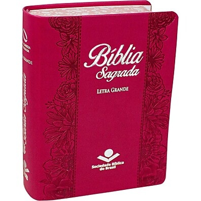 Bíblia NAA Letra Grande: Leitura Clara e Inspiradora