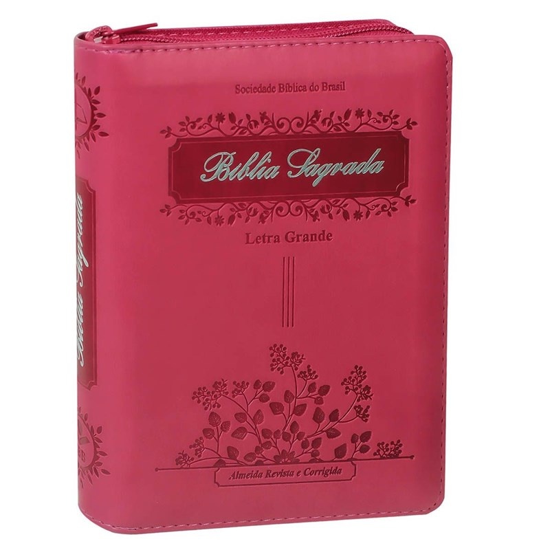 Bíblia Raminhos ARC: Letra Grande e Capa Pink