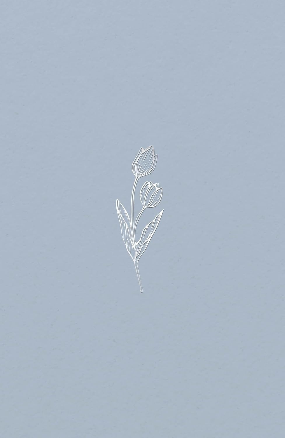 biblia-sua-diaria-tulipa-azul-a-companheira-nvi-economica-espiritual-a