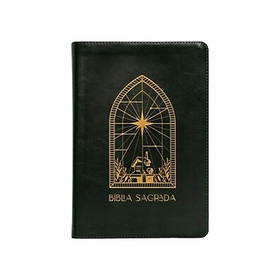 Bíblia The Purpose Book: Descubra Seu Propósito