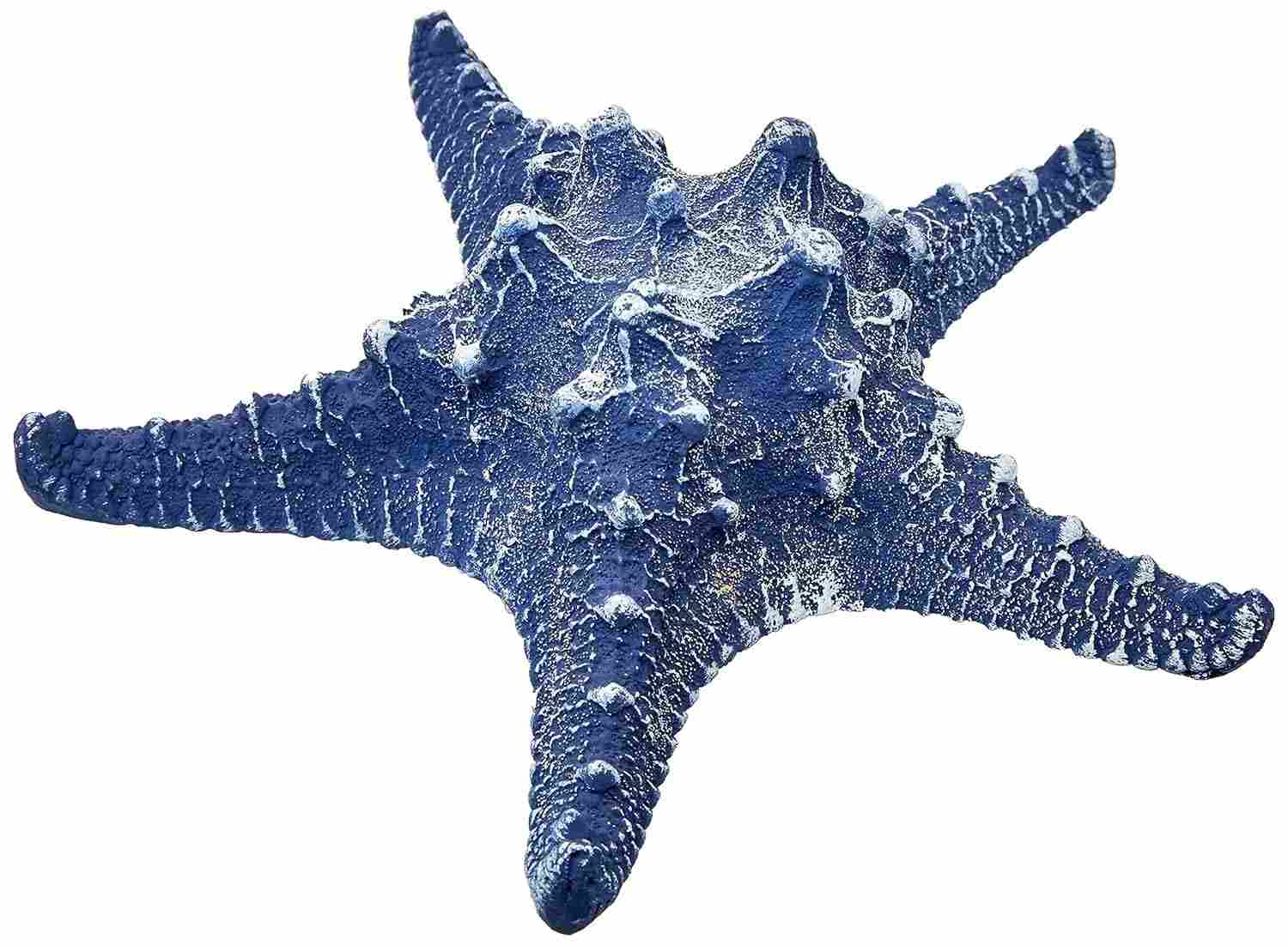 Ornamento Estrela do Mar em Resina Azul Escuro - Ocean Blue Decorglass