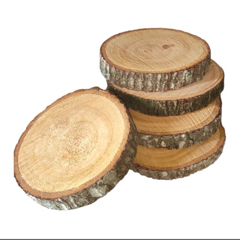 Bolacha de Mogno Africano 20-25cm: Kit com 8 Peças