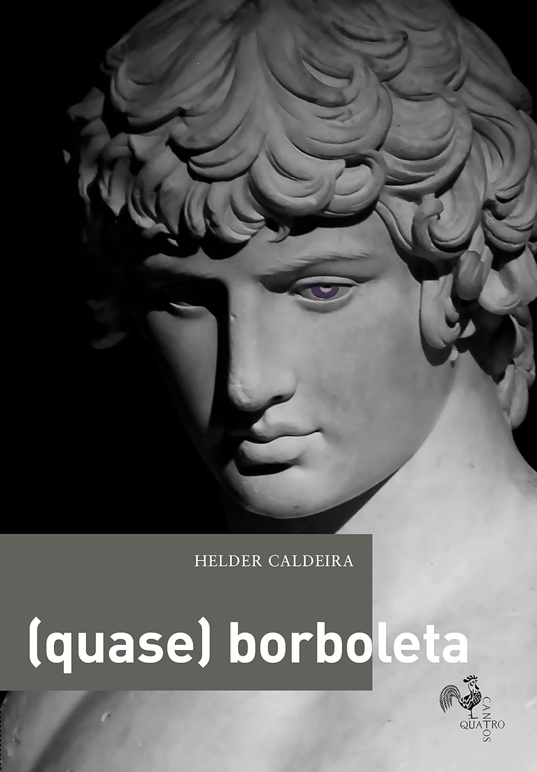 borboleta-de-uma-quase-lgbtqia-inspiradora-amor-livro-historia-a