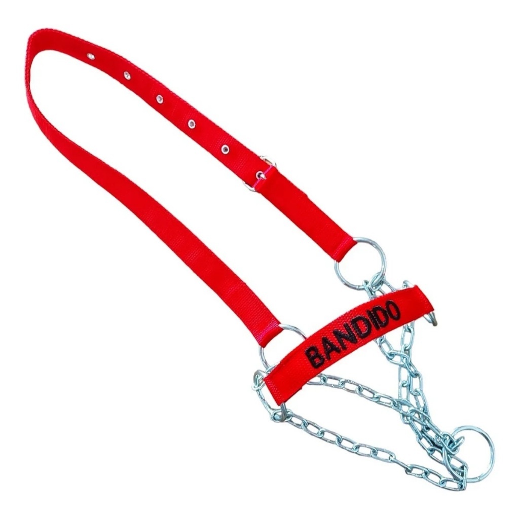 cabresto-bezerro-personalizado-fita-reforcada-c-corrente