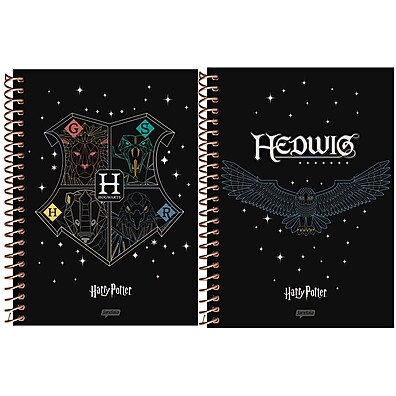 Caderno Harry Potter Jandaia: Magia em Suas Anotações!