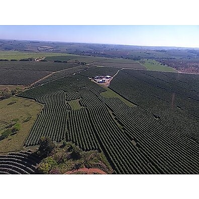 cafe-organico-intenso-tucano-sabor-graos-black-250g