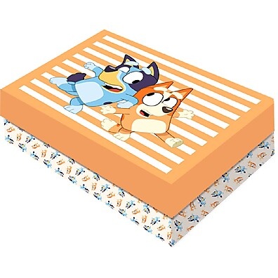 Caixa Bluey M: Presenteie com Encanto!
