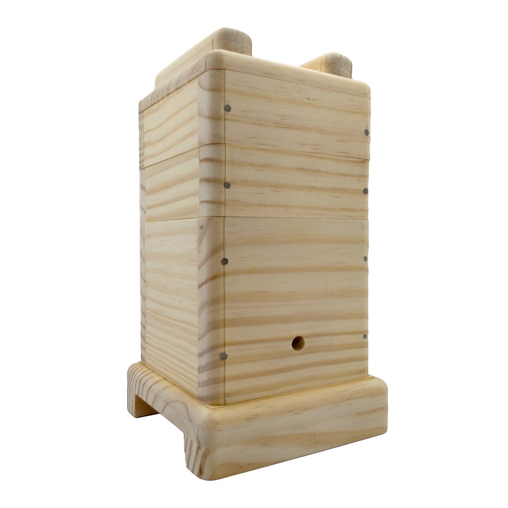 caixa-jatai-12x12-crie-abelhas-e-colha-mel-facil