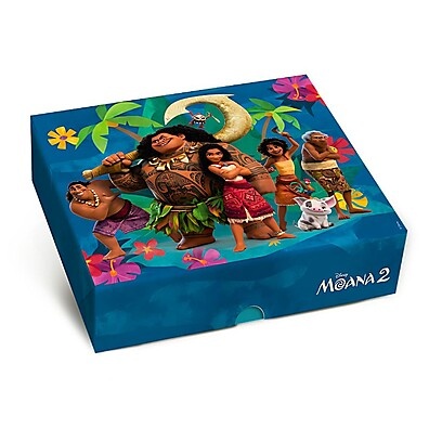 Caixa Retangular com Tampa Moana 2 – Organização com Estilo