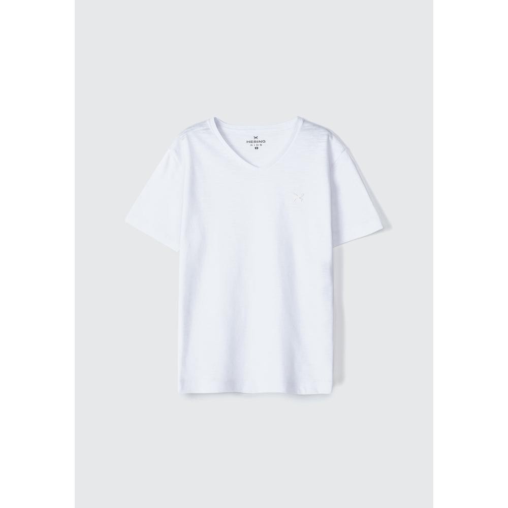 Camiseta Infantil Menino Flamê: Conforto e Estilo Hering Kids