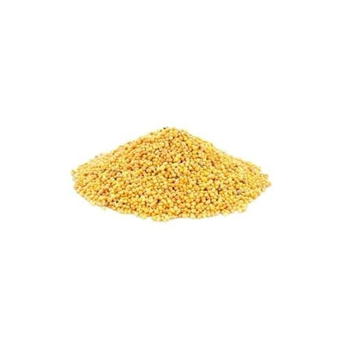 Mostarda - Granel 100g (6, Mostarda em Grão Canadense Amarela)