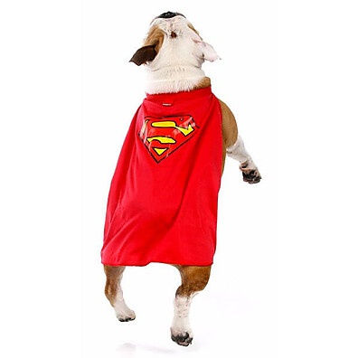 Capa Super Homem para Cachorro: Deixe seu Pet um Herói!