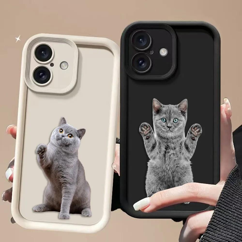 Capinha Gato Ragdoll: Estilo e Proteção!