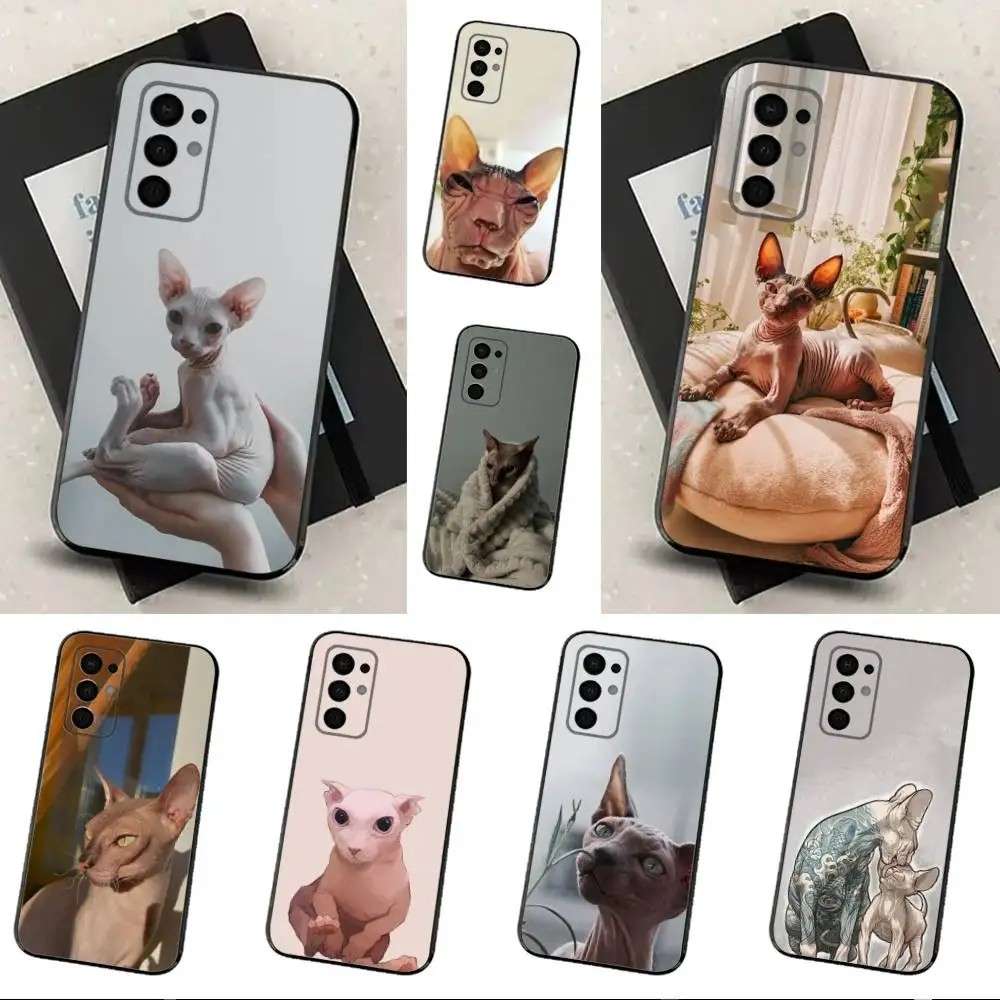 Capinha Gato Sphynx: Proteção e Estilo!